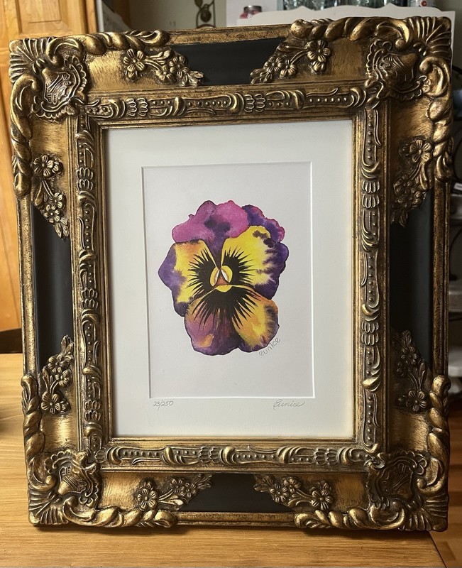 Eunice Signed Numbered Pansy Flower Art Print 23/250 Matted Framed