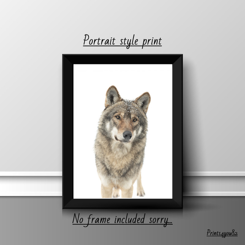 WOLF A4 PRINT PICTURE POSTER HOME DECOR WALL ART UNFRAMED GIFT NEW ANIMALS