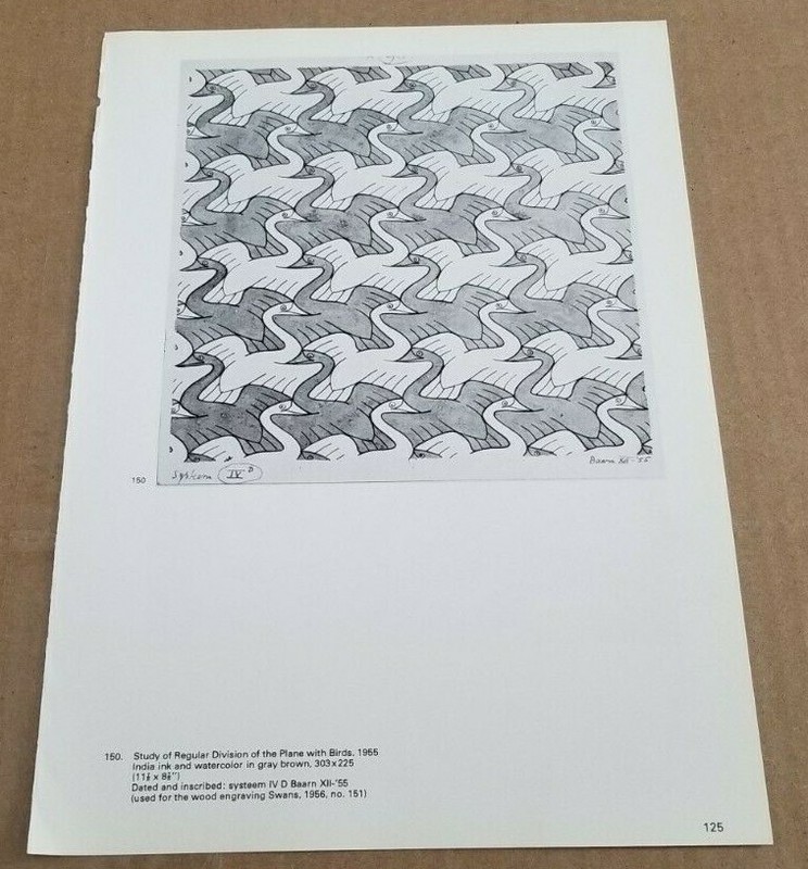 STUDY REGULAR DIVISION THE PLANE WITH BIRDS (Swans 1955) M C Escher OP Art Print