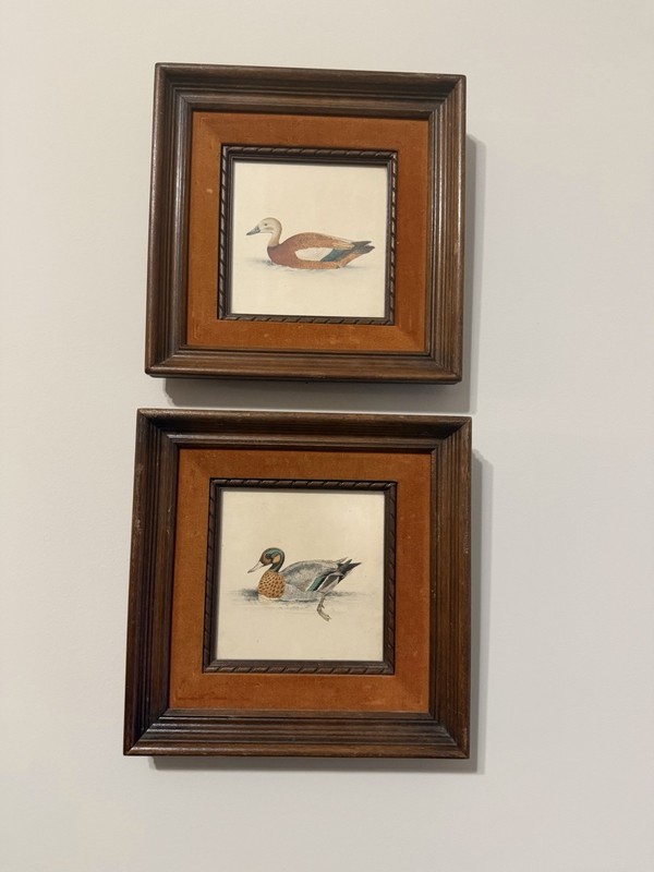 Pair Original Henry Leonard Meyer 1852 Hand Colored Duck Lithographs Framed