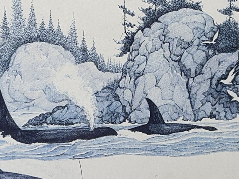 Michael Duncan Signed Print 'ON THE WAY HOME' Canadian Artist~Orca/Killer Whales gallery