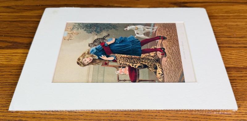 ANY PORT IN A STORM FRAMED LITHOGRAPH by Cosack & Co Buffalo NY Girl Cat Dog gallery