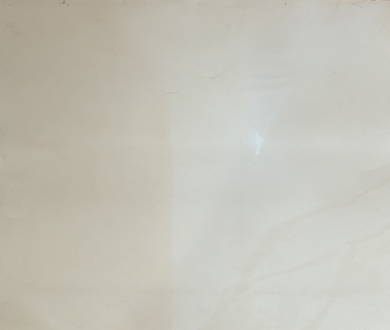 Tomás Sánchez – Untitled (1982) | Signed & Numbered Silkscreen. Cuban Art. gallery