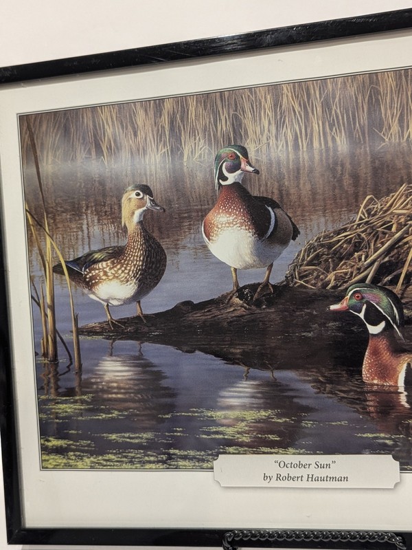 October Sun by Robert Hautman 8.75"x11.25" Framed Print Wood Ducks In The Marsh gallery