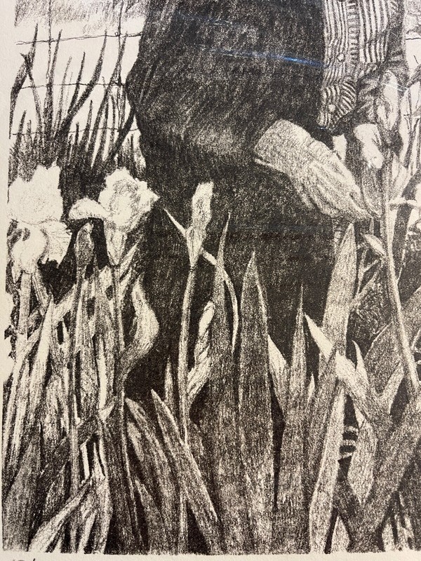 Tom Dameron SIGNED & Numbered "Anene" 17x14" Pencil Sketch art print Lithograph gallery