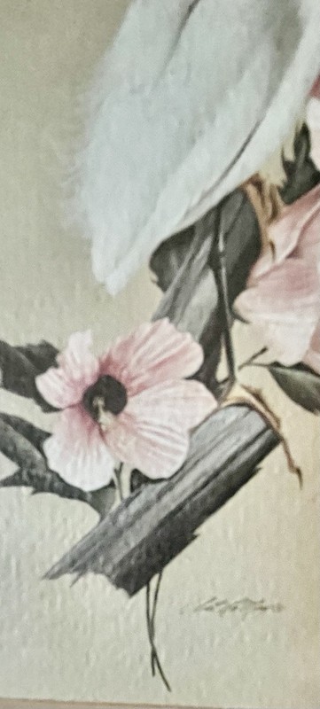 Vtg Art Lemay SNOWY EGRET & HIBISCUS print Framed Gold Foil Mat 7.5”x9.25” gallery