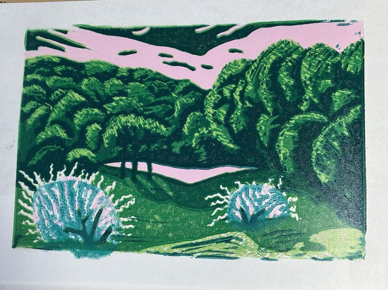 5" x 7" Reduction Linocut Print 8 Color Unframed “pond” #5/20 DSV gallery