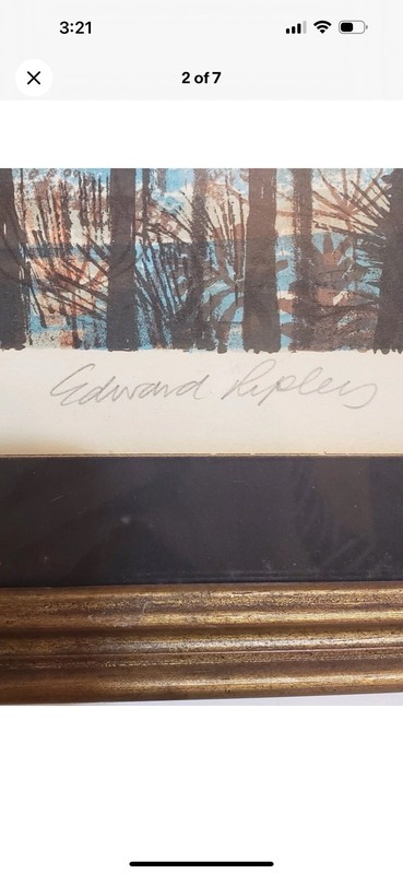 Edward Ripley Signed and Numbered Lithograph Framed Professionally 19x24 gallery