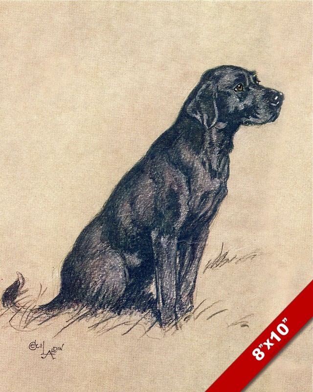 BLACK LABRADOR PET DOG ANIMAL ART CECIL ALDIN PAINTING PRINT ON REAL CANVAS