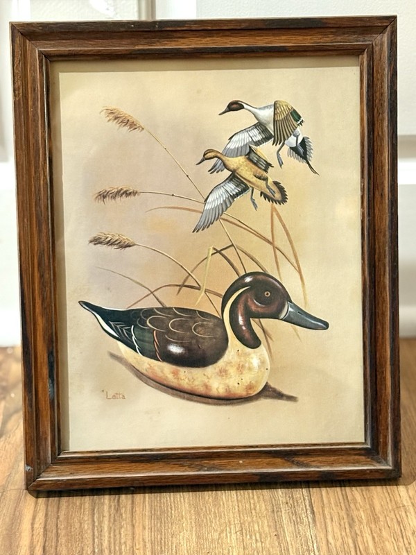 Carol J Latta Framed Duck Print Mallard Waterfowl Wildlife Art Rustic Wood Frame