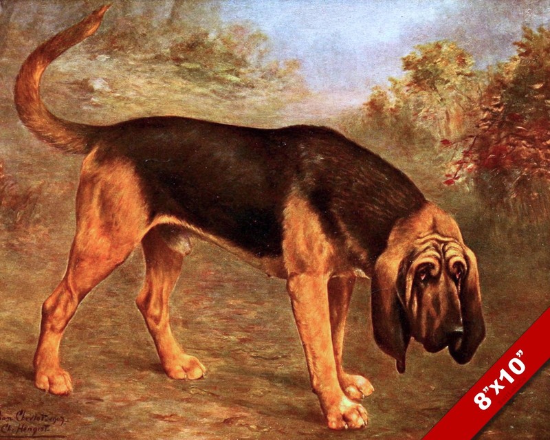 THE TIRED & LOYAL BLOODHOUND PET DOG ART PAINTING PRINT ON REAL CANVAS