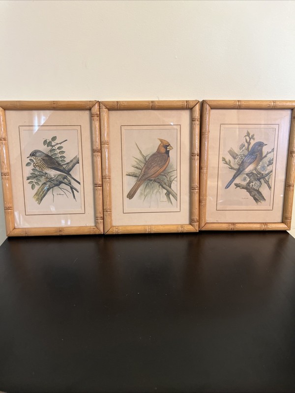 3 Vintage P.H. Gomer Bamboo Framed Bird Botanical Prints 5.5 X 8″ Cottagecore