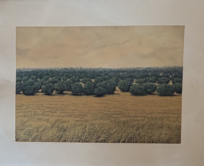 Tomás Sánchez – Untitled (1982) | Signed & Numbered Silkscreen. Cuban Art.