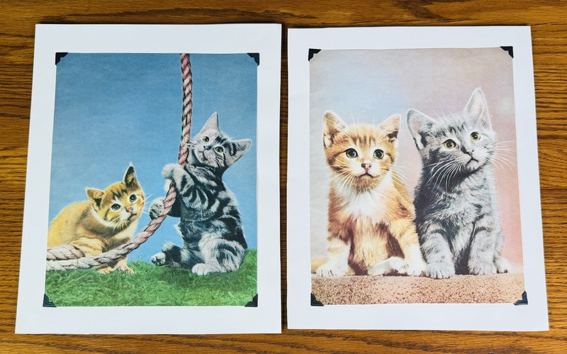 LOT OF 2 TABBY CAT KITTENS VINTAGE ART PRINTS Gray Brown Grey Couple Cats