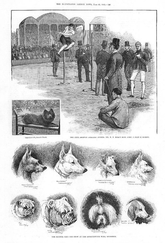1892 Antique Print - LONDON Islington Kennel Club Dog Show Bell High Jump (115)