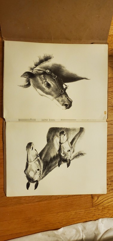 C.W. Anderson vintage bred to run horse prints 1960 gallery