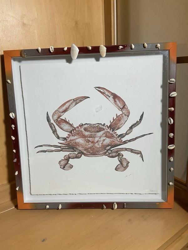 Framed Art Print Orange King Crab With Sea Shells