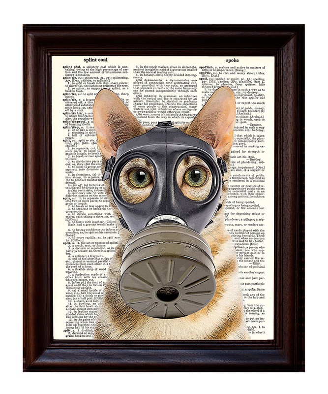 Fallout Kitty – Dictionary Art Print Printed On Authentic Vintage Dictionary