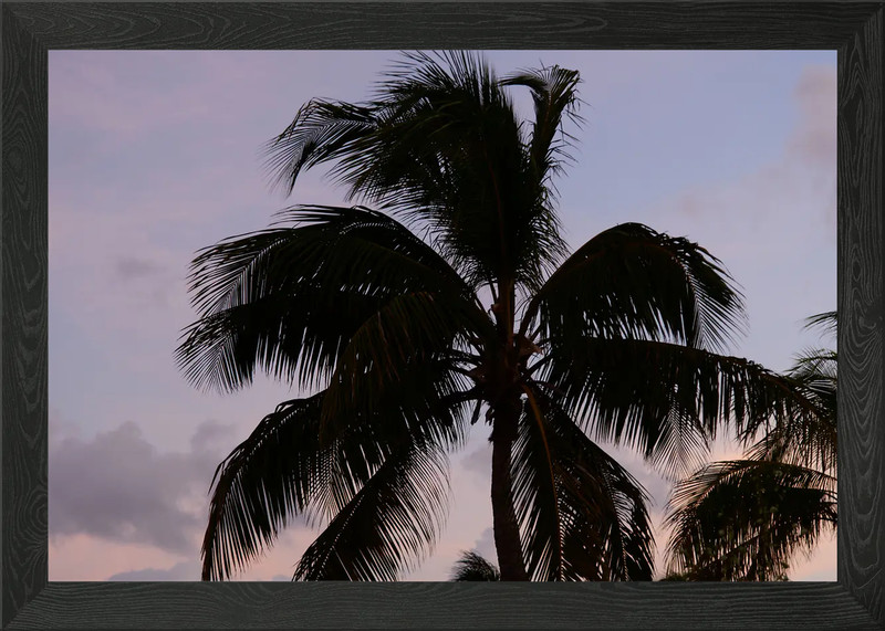 Sunset Palm Tree Dream 1 Framed Wall Art Poster Canvas Print Picture