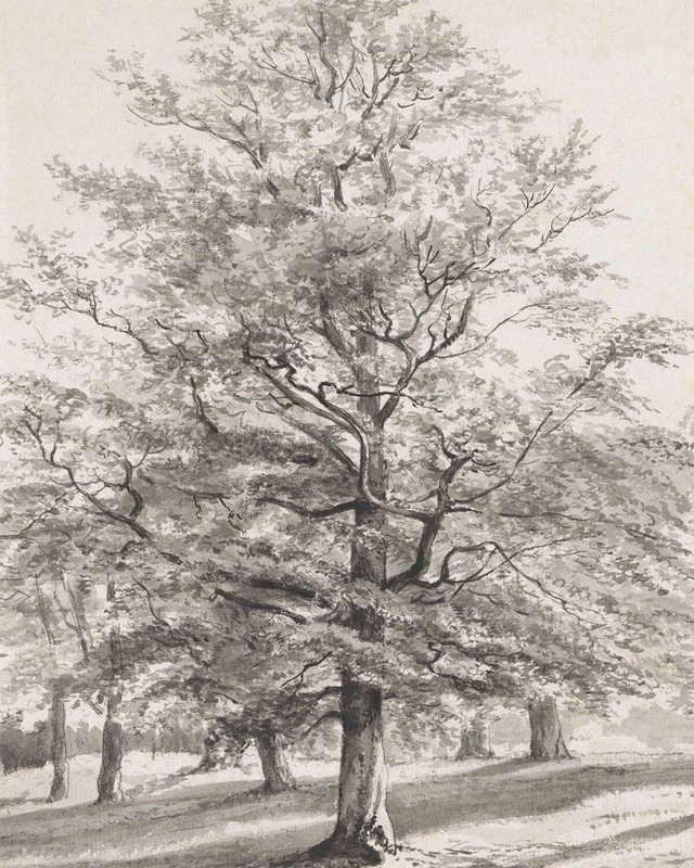 Antique Landscape with Trees Drawing Reproduction Giclee Print on Fine Art Paper