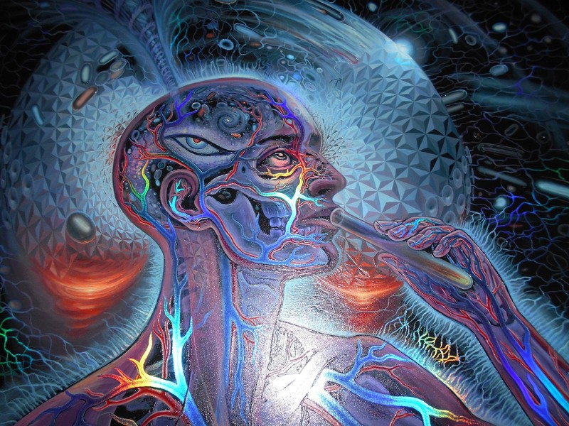 Alex Grey Mars-1 Bicycle Day Textured Foil Paper Art Print Signed Numbered /419