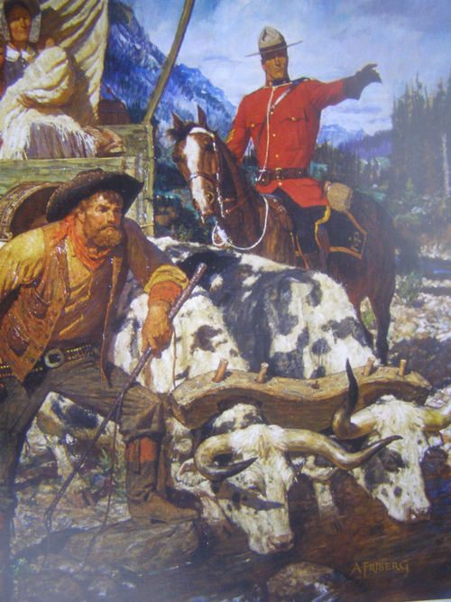 RCMP Canadian Mountie Wagon Train Oxen