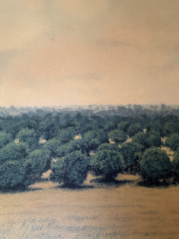 Tomás Sánchez – Untitled (1982) | Signed & Numbered Silkscreen. Cuban Art. gallery