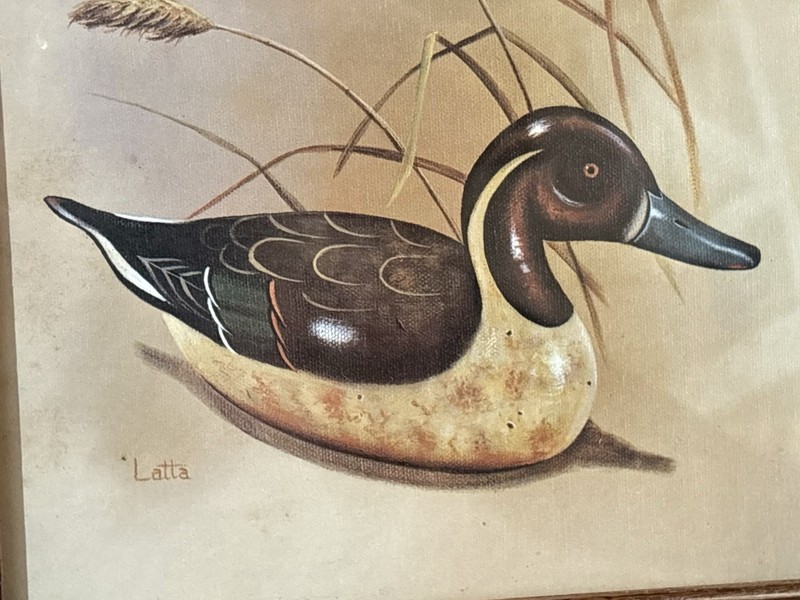 Carol J Latta Framed Duck Print Mallard Waterfowl Wildlife Art Rustic Wood Frame gallery