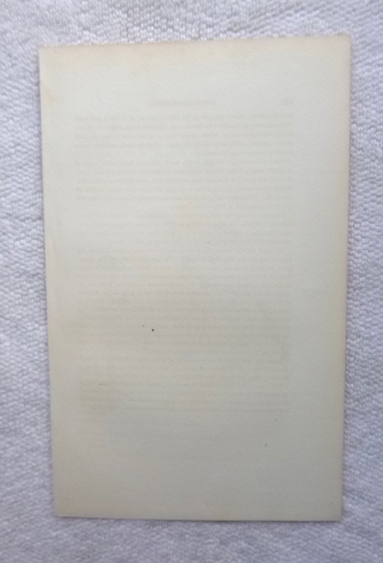 Audubon 1st ed Octavo BROWN FINCH Birds of America 1840 original pl 187 gallery