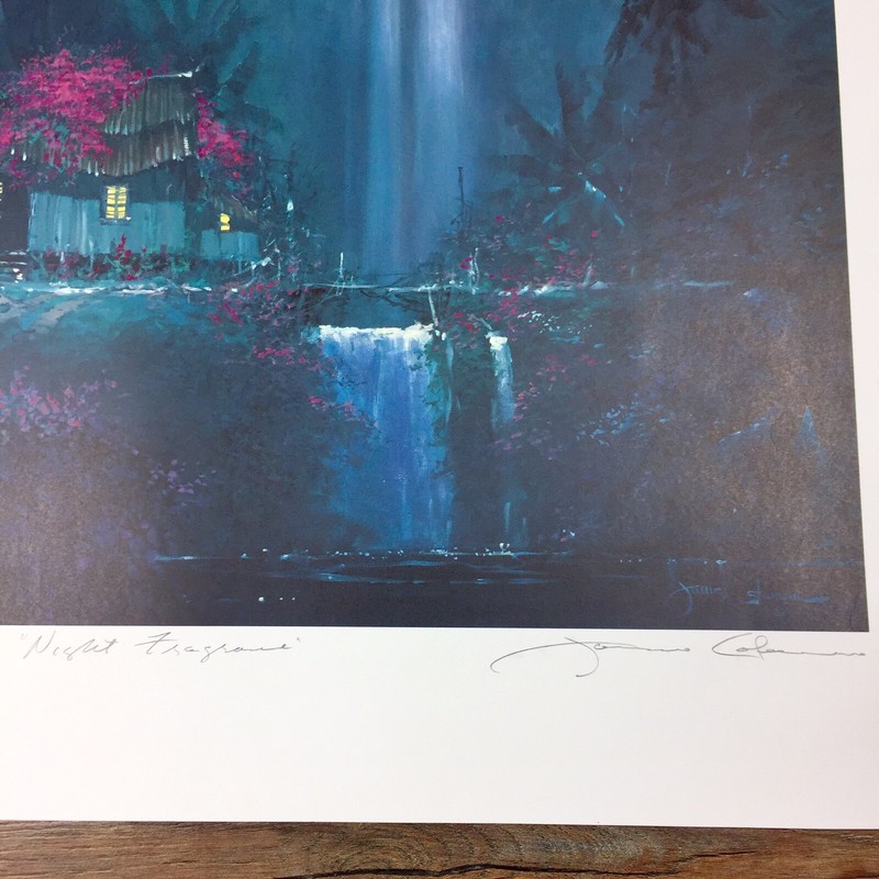 James Coleman Night Fragrance Hand Signed Lithograph 21 / 275 Tropical Waterfall gallery