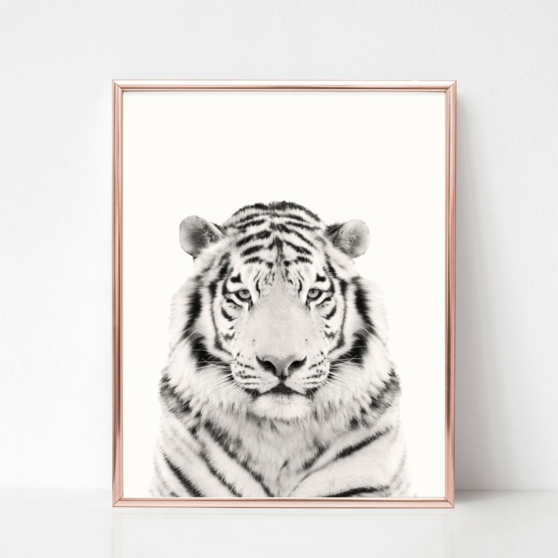 tiger print PICTURE WALL ART A4 unframed black white nursery safari wall art