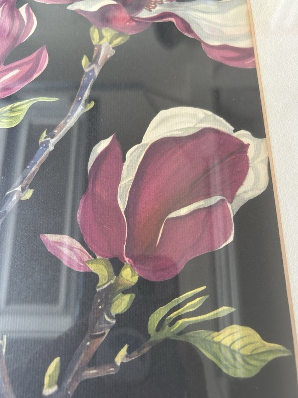Vtg Mid Century 1950’s 60’s Magnolia Floral Lithograph Print Helene Thompson gallery
