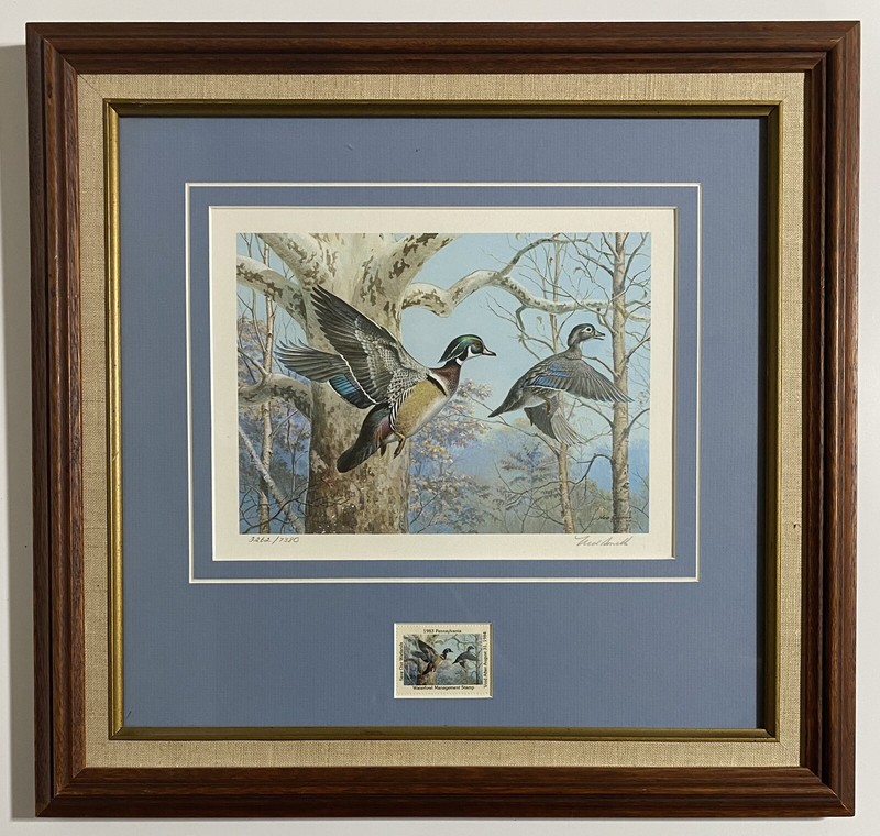 1984 Pennsylvania Duck Print & Stamp Waterfowl Management by Artist Ned Smith