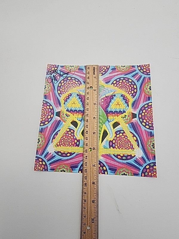 Ciaran Shaman "Meetings with Ganesh" signed Blotter Art print Psychedelic Art gallery