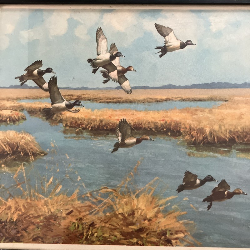 Vintage Waterfowl Duck Hunting Framed Richard E. Bishop Signed Artwork