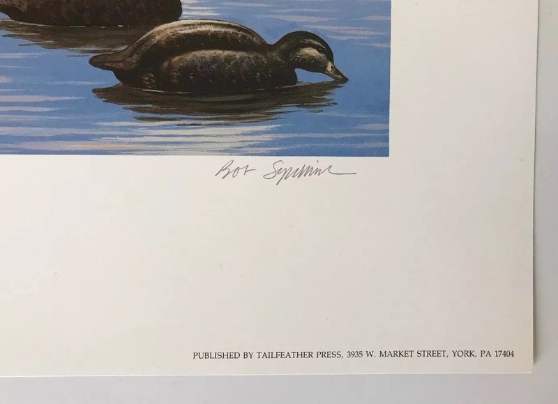 Bob Sopchick “A Late Start” Signed Print 1991 Green-Winged Teal Ducks Unlimited gallery