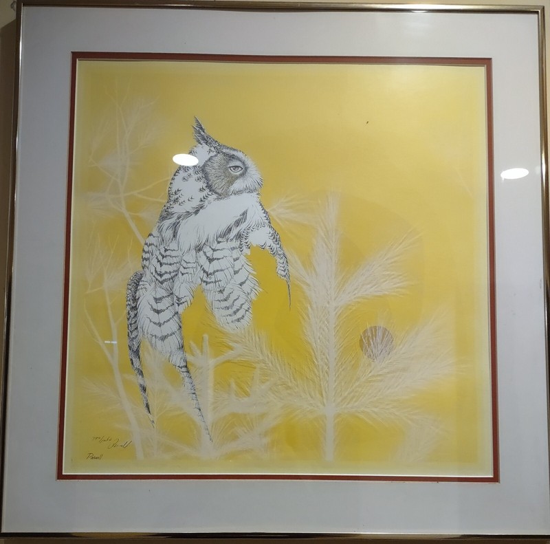 Peter Parnall signed and numbered print of the horny sun owl