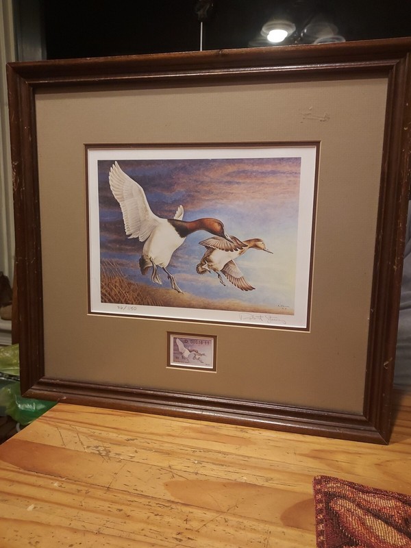 Robert Steiner Duck Stamp Print Autographed, California #1