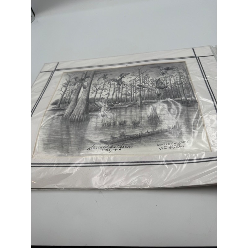 Donald V Williams Signed Numbered Print 0092/3000 New Orleans Swamp Ducks 11×14