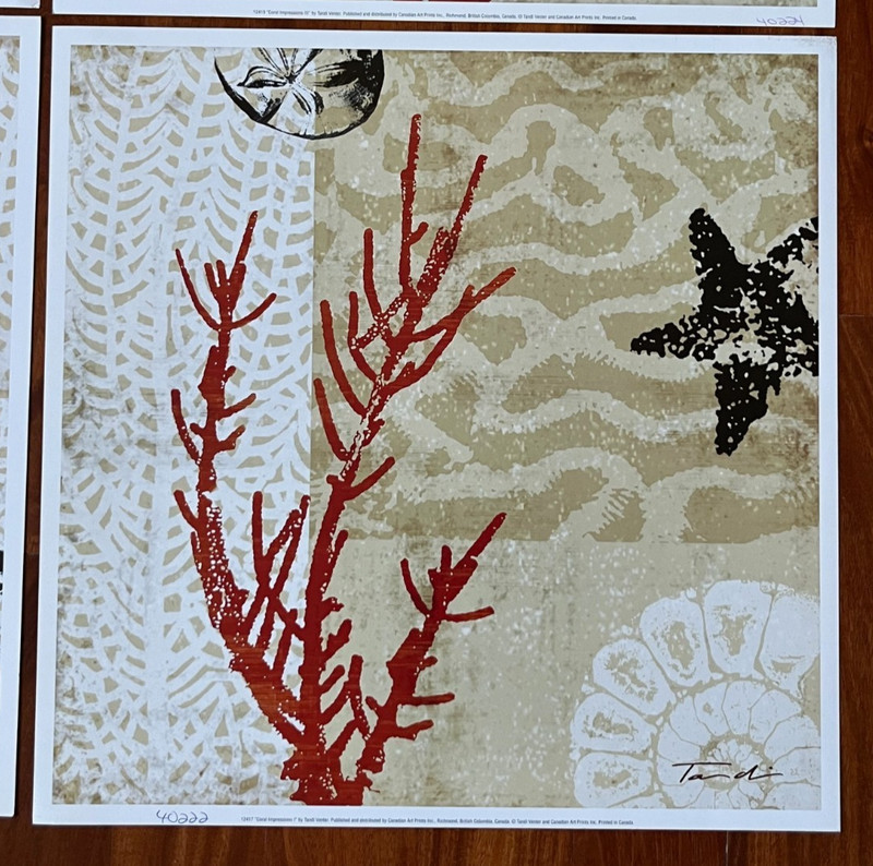 Tandi Venter Coral Impressions Image 1 – 4 You Choose 15″ x 15″