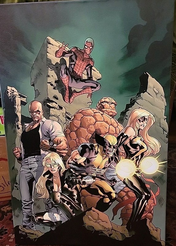 Marvel Comics «New Avengers» #7 Limited Edition Giclee Art Canvas # 80/99 COA