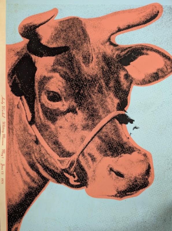 After Andy Warhol 1971 Cow (Blue) Print 45 1/4 x 29 5/8in gallery