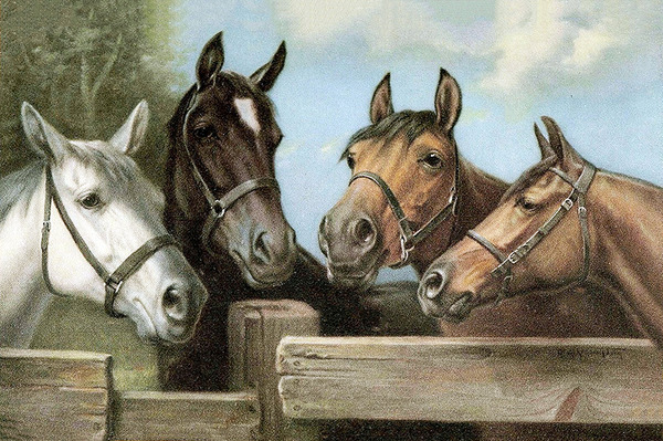 4 Horses Fence by R Atkinson Fox