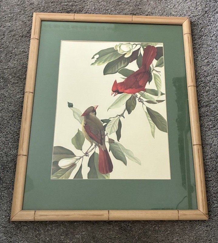 Roger Tory Peterson Magnolia Time Matted And Framed Faux Bamboo 19x 23