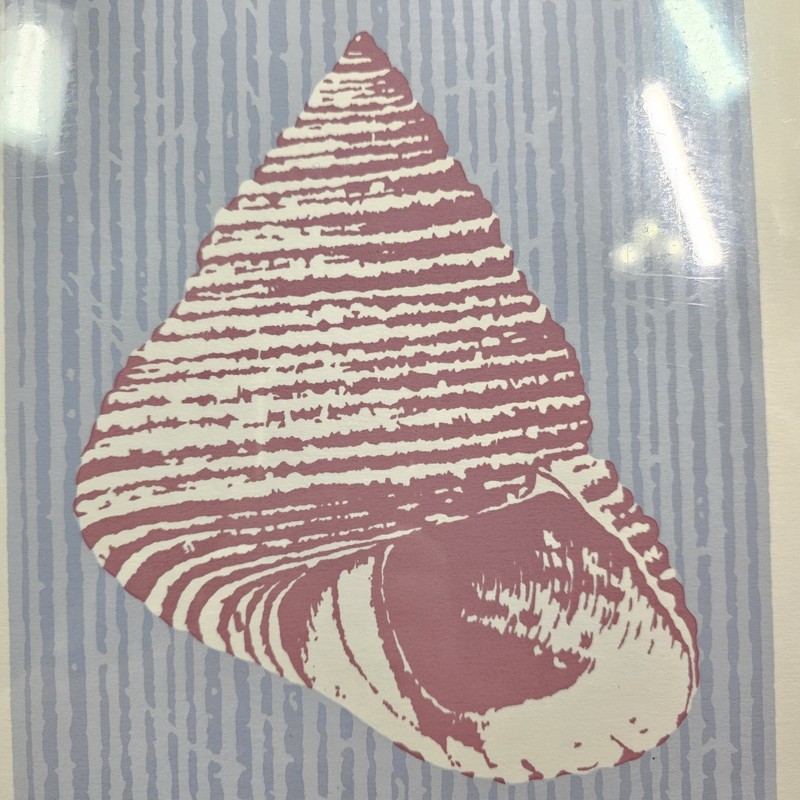 Sea Shell Print Adan Signed Numbered Pastel Beach House Decor Gallery Wall Kelpe