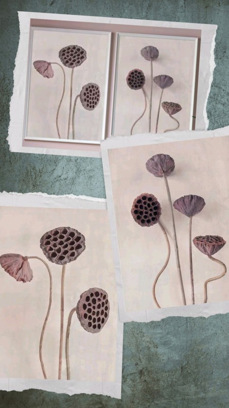 Poster – Prints Of Flowers In A Vintage Style 50x70cm Great For Home Or Office