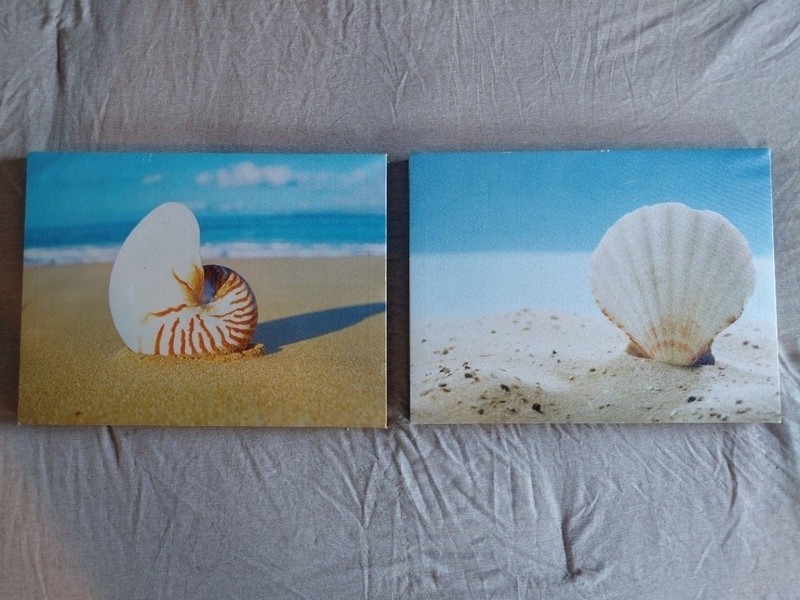 Nautical Sea Shell Canvas Wall Art Set 2 Beach Coastal Home Decor Prints