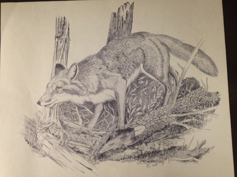 Wolf By Vince Robles original black and white ink drawing for sale gallery