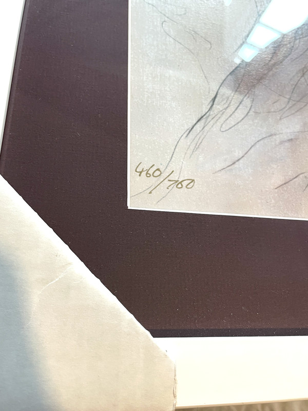 🔥 Gary Benfield "Blossom" Framed SerioLithograph Signed Limited Ed of 750 gallery