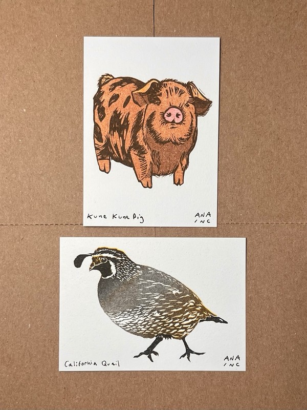 Anastasia Inciardi Print Set of 2 – Kune Kune Pig and California Quail